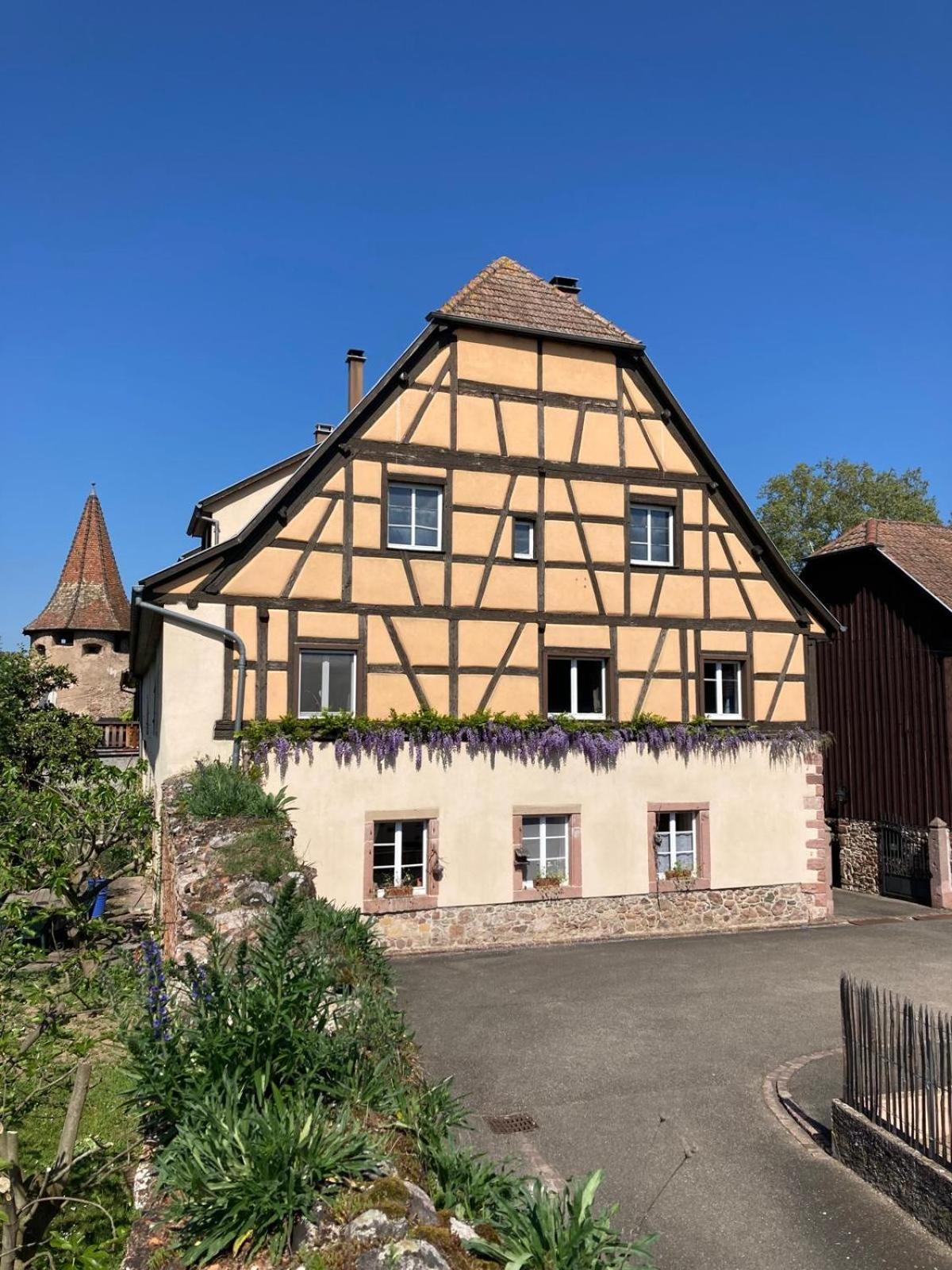 Joli Gite 2 Personnes En Alsace Guemar Exterior photo